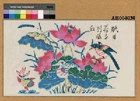 藏品(映日荷花別樣紅)的圖片